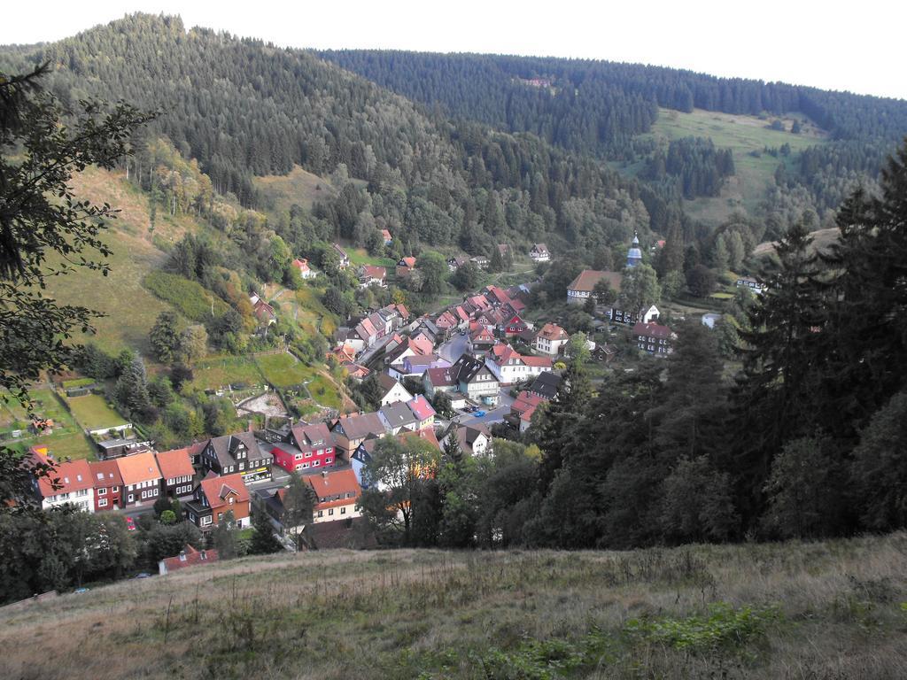 Ferienwohnung Sonnenhuegel Wildemann Exteriér fotografie