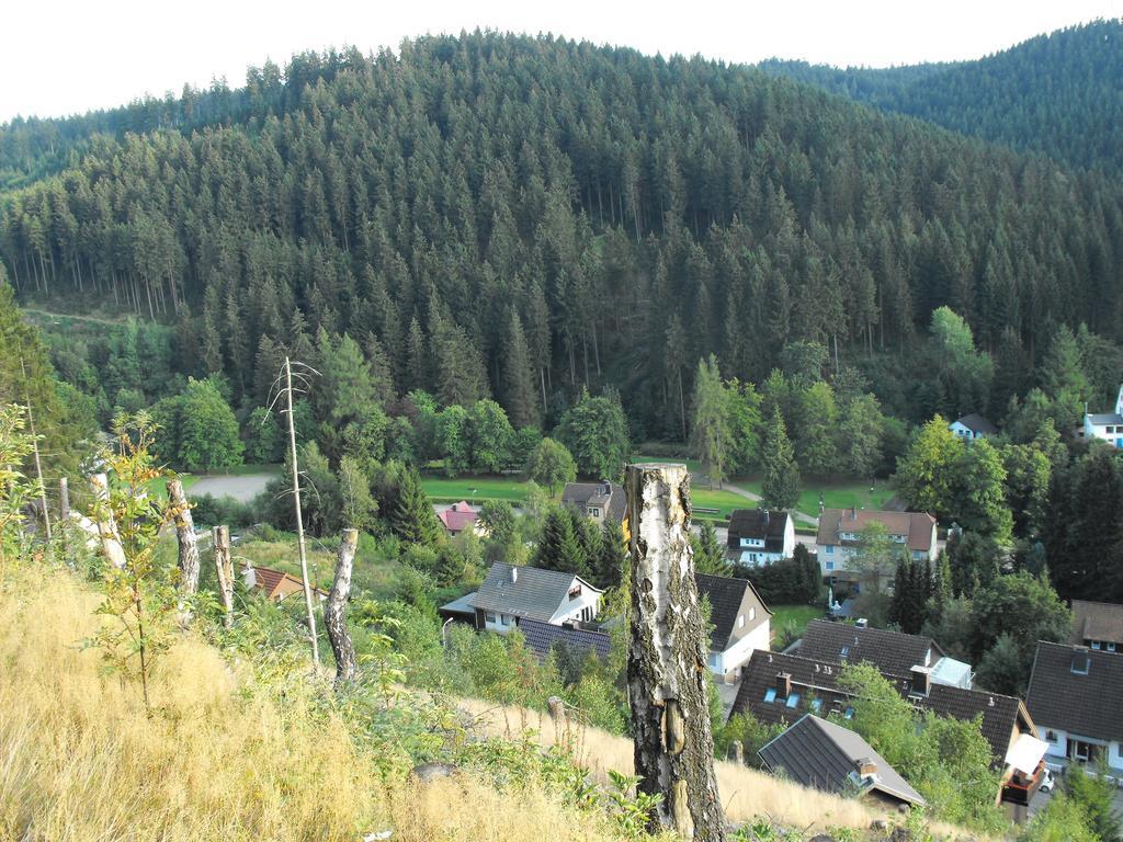 Ferienwohnung Sonnenhuegel Wildemann Exteriér fotografie