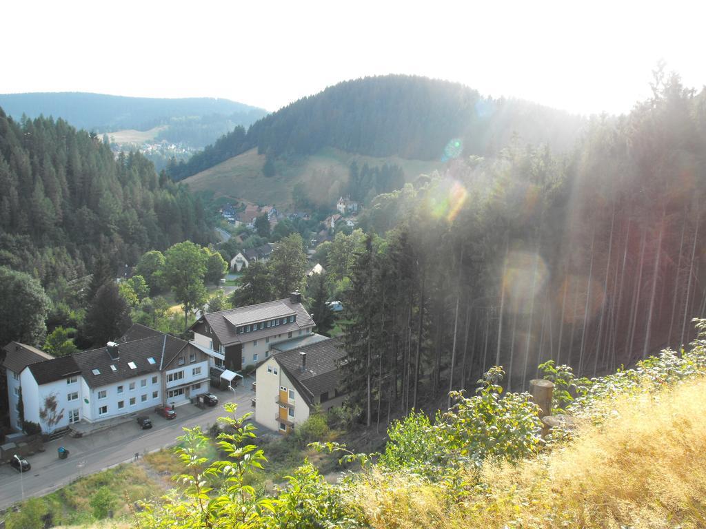 Ferienwohnung Sonnenhuegel Wildemann Exteriér fotografie