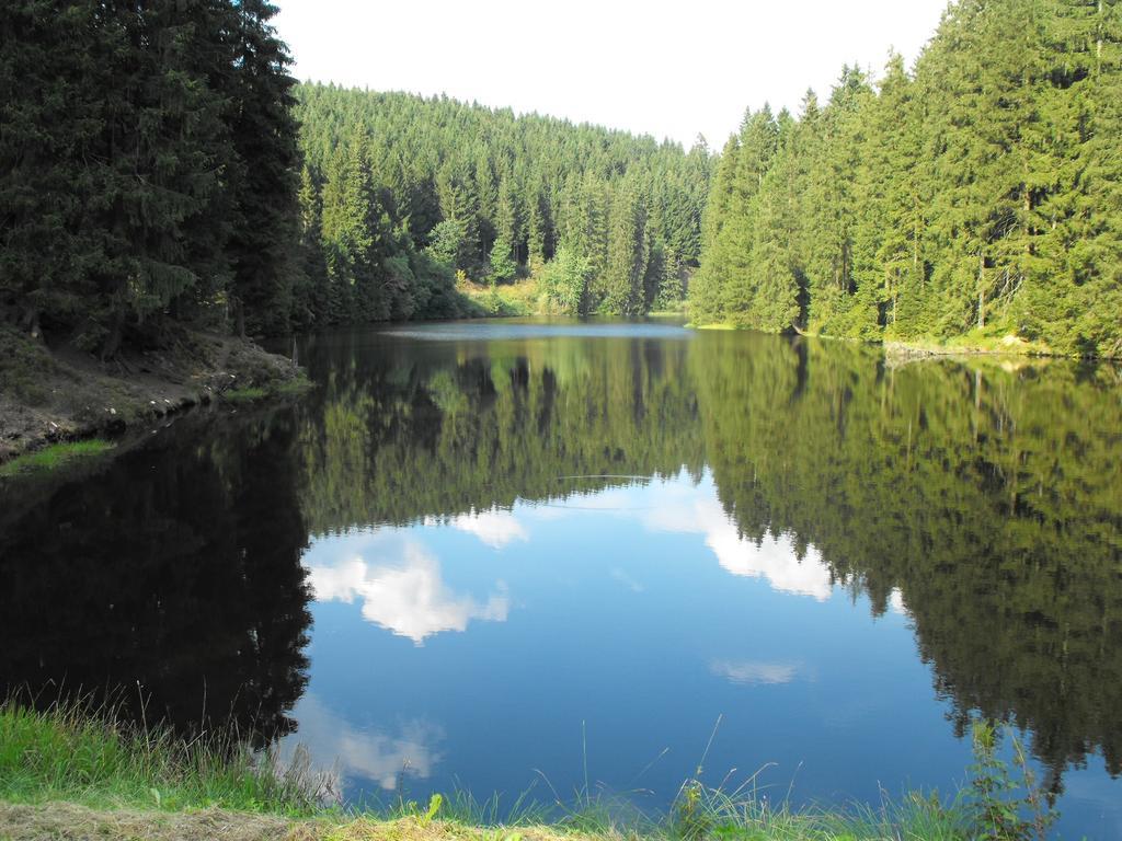 Ferienwohnung Sonnenhuegel Wildemann Exteriér fotografie