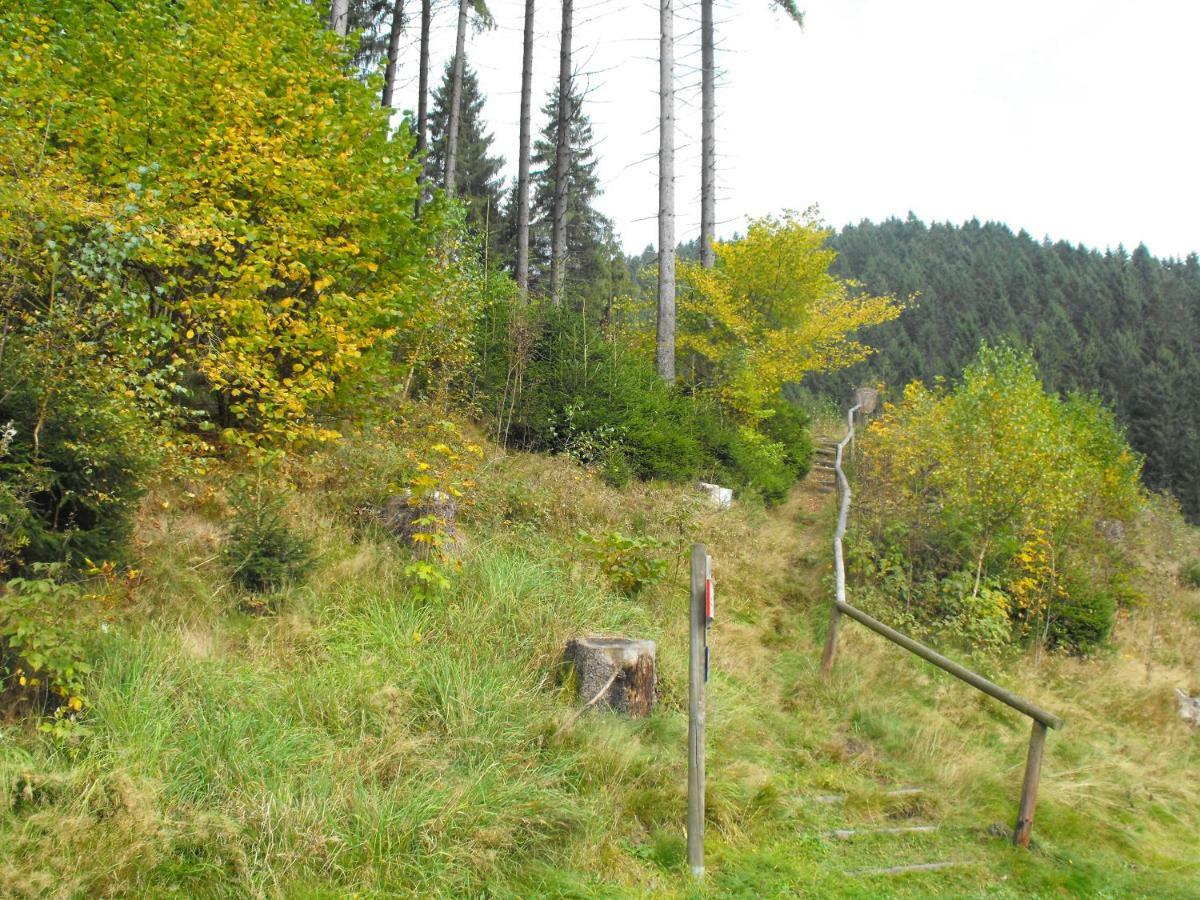 Ferienwohnung Sonnenhuegel Wildemann Exteriér fotografie