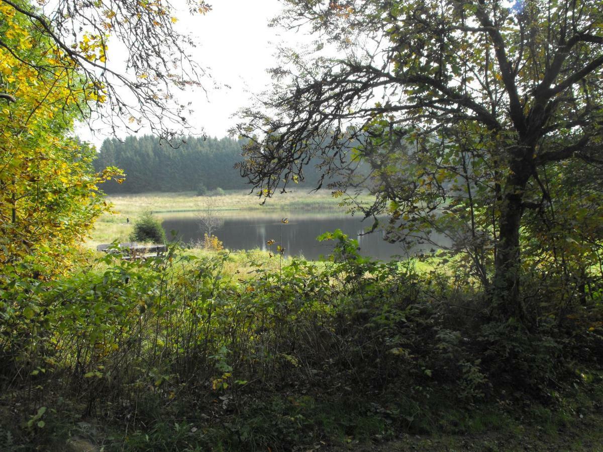 Ferienwohnung Sonnenhuegel Wildemann Exteriér fotografie